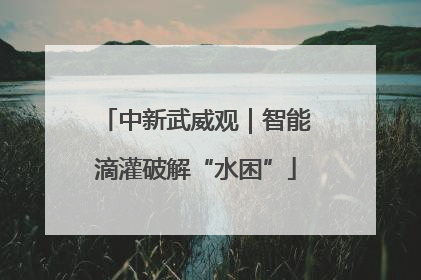 中新武威观｜智能滴灌破解“水困”